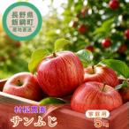りんご サンふじ 小玉 5kg