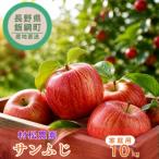 サンふじ りんご 10kg