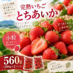 完熟いちご とちあいか 約560g