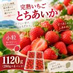 完熟いちご とちあいか 約1,120g