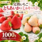 とちあいかミルキーベリー食べ比べ1000g 250g×4パック 各2…