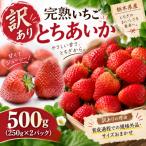 いちご とちおとめ とちあいか 食べ比べ 500g
