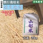 ふるさと納税 最上町 新米　令和8年産 慣行栽培米 はえぬき　玄米 20kg　山形県産　西塚農場