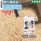 新米 令和8年産 慣行栽培米 山形95号 玄米 10kg