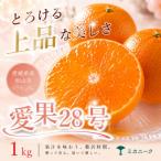 ブラッドオレンジ 1kg