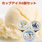 カップアイス6個セット やぎ乳 プレーン