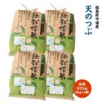 令和8年産 産天のつぶ 精米20kg 5kg×4袋