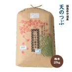 令和8年産 産天のつぶ 精米27kg