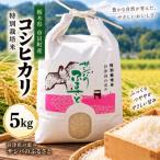 令和8年特別栽培米 精米コシヒカリ5kg