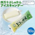 久保田食品 四万十ぶしゅかんアイスキャンデー 80ml×20本セ…