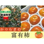 柿 富有柿 約2kg