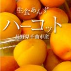 あんず ハーコット 生食用 約1kg