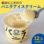 久保田食品 バニラアイスクリーム 110ml×12個セット