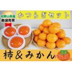 かつらぎセット みかん&柿 約3.5kg