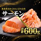 サーモン ブロック&切り落とし 600gセット