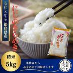 新米 にじのきらめき 精米5kg 一等米
