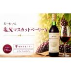 五一わいん 塩尻マスカットベーリーA 720ml×1本