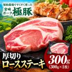 契約農場のひなた宮崎極豚シャトーブリアンブロック 300g