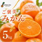 早生みかん 5kg