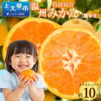 特別栽培みかん 極早生 10kg