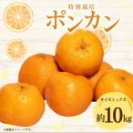 特別栽培ポンカン 10kg