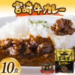 宮崎牛カレー 160g×10食