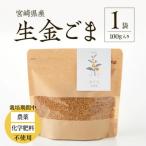 生金ごま 100g