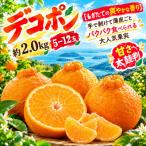 デコポン 2.0kg