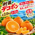 ハウスデコポン 2.0kg
