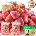 冷凍いちご 淡雪 白いちご 約2kg