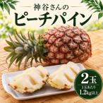 ベテラン農家の神谷さんが育てたピーチパイン2玉
