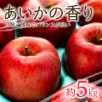 2026年 甘い 幻のりんご 約5kg