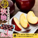 2026年 信州のりんご 訳あり 約3kg
