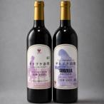 オトプケ浪漫GODZILLA EDITION山幸2025&オトプケ浪漫山幸2025G 飲み比べセット