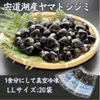 宍道湖産 ヤマトシジミ LLサイズ 大粒 真空冷凍 100g×20袋