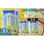 斎藤農場の特別栽培米雪若丸玄米30kg