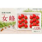 澳原さんの女峰 1,120g