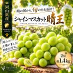 シャインマスカット 晴王 2房約1.4kg 2027年9月~