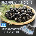 宍道湖産 ヤマトシジミ LLサイズ 大粒 真空冷凍 100g×15袋