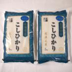 岩船産 コシヒカリ10kg 5kg×2袋