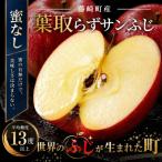 葉とらずサンふじ 約3kg
