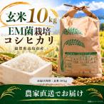 にじのきらめき 精米 農家直送 10kg