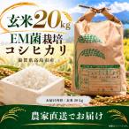 EM菌栽培コシヒカリ 玄米 農家直送 20kg