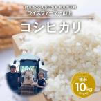 あしつきの郷のあしつき米 R8年度産 コシヒカリ 10kg