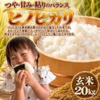 米 ヒノヒカリ 新米予約 令和8年産 新米 単品 20kg