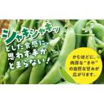 豊橋産 スナックエンドウ 約250g