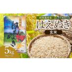 斎藤農場の特別栽培米はえぬき玄米5kg