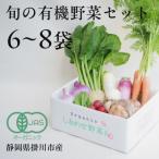 オーガニックビレッジ掛川 有機農業の会セレクト 8 有機農場から直送 有機野菜セット