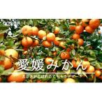 コウ果樹園のみかん10kg YWTG035