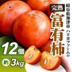 富有柿 2L~3L 12個入り